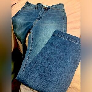 Articles of Society London Crop Flare Jeans